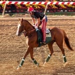 Preakness notes for May 16: Ready