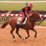 Preakness notes for May 14