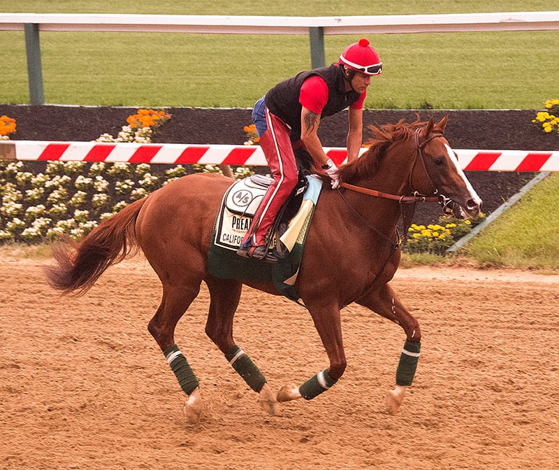 Trainer Sherman pleased with California Chrome gallop