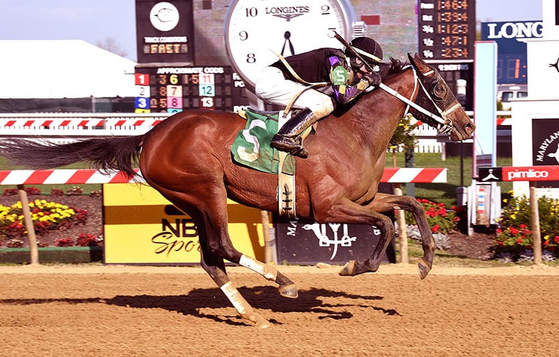 Made Up romps in Pimlico Derby day feature