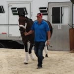 Preakness Profiles: Ride on Curlin
