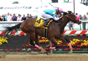 Miss Behaviour wins the Miss Preakness. Photo by Laurie Asseo.