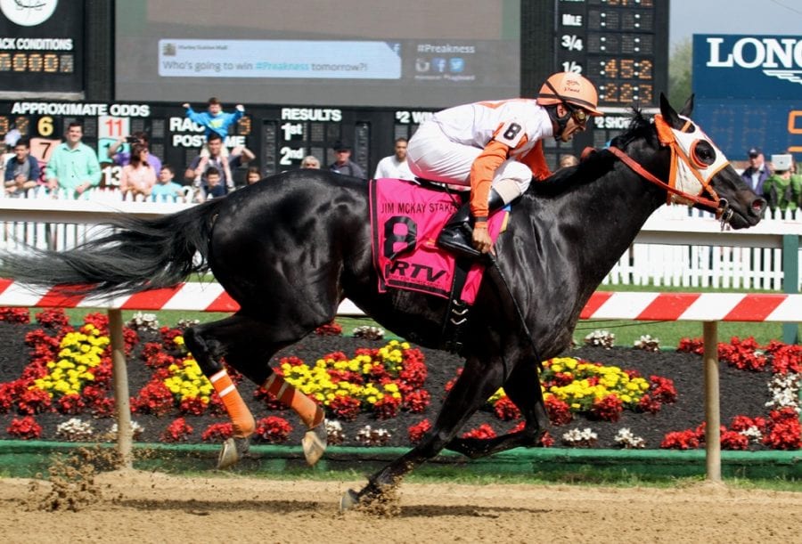 Defending champ Ben’s Cat among 50 Fabulous Strike noms