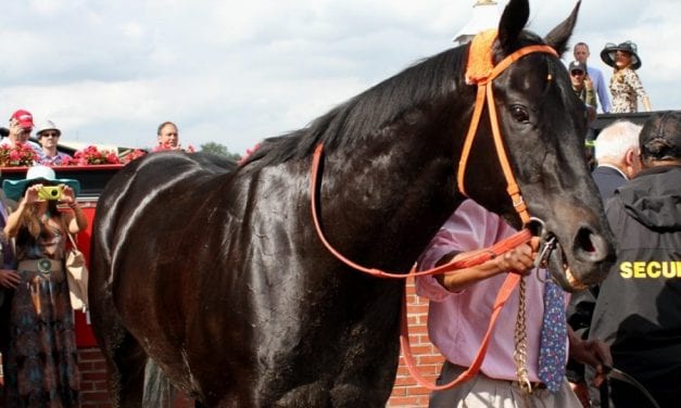 Ben’s Cat earns fourth Md.-bred Horse of the Year nod