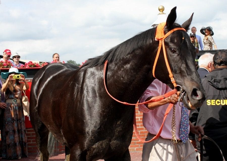 Ben’s Cat earns fourth Md.-bred Horse of the Year nod