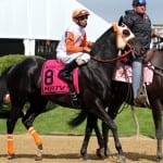 From the Spa: August 6 Midlantic-breds in Saratoga stakes