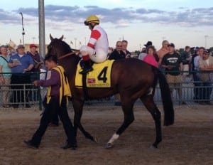 A crowd watches as Bobby's Kitten makes his way to the track for the Penn Mile. Photo by The Racing Biz.