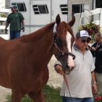 In tax case, Laurel Park receives temporary stay
