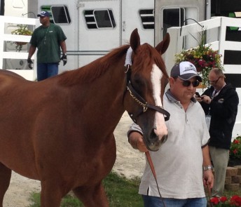 californiachrome