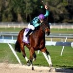 Little Things: Seattle Slew’s Derby stumble