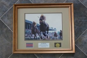 At Poulson's Hare Forest Farm, Go for Gin's Derby triumph has pride of place.  Photo by Nick Hahn.