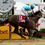 Defending champ Flattering Bea headlines Sugar Maple