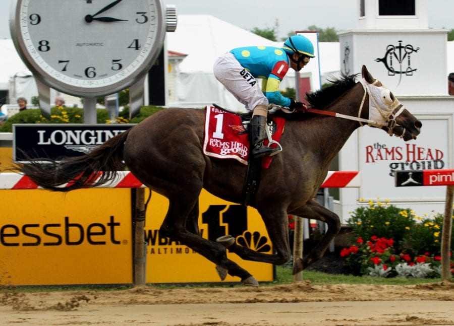 Governmentshutdown won the 2014 Rollicking Stakes at Pimlico. Photo by Laurie Asseo.