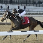 Preakness spurs fundraising for Aftercare Alliance