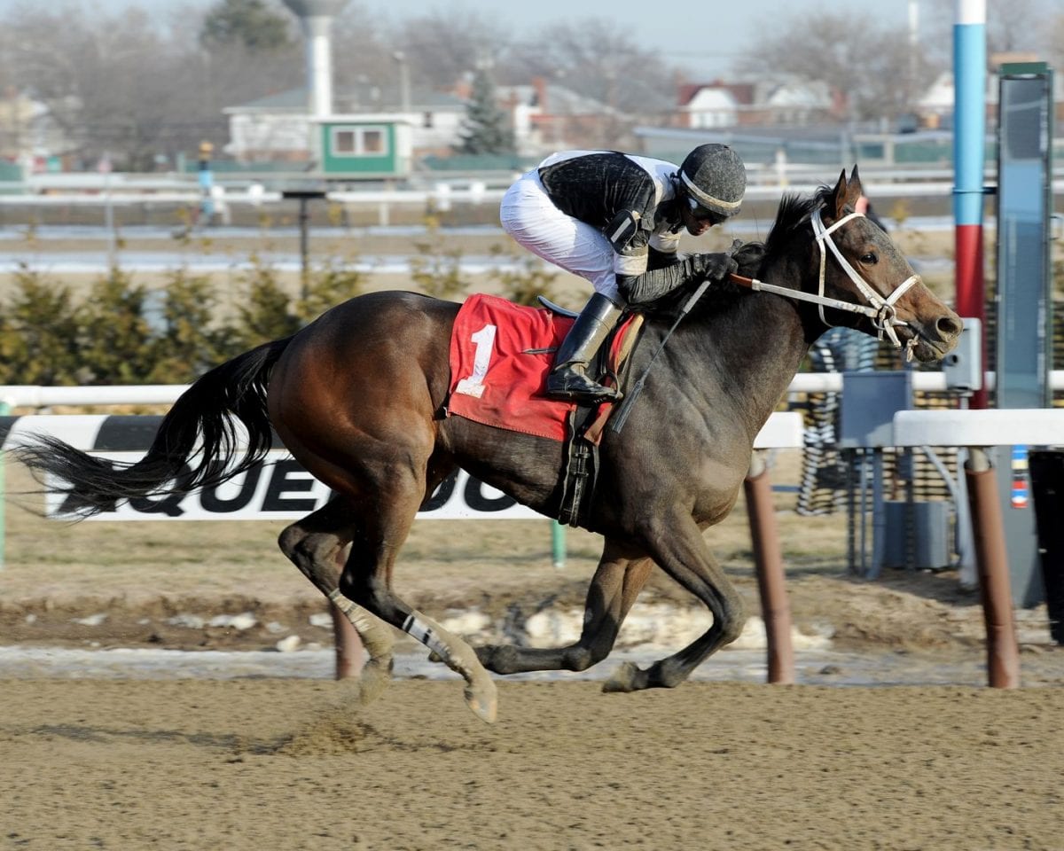 Rooting interests: ‘Joint’ Returns Servis to Pimlico