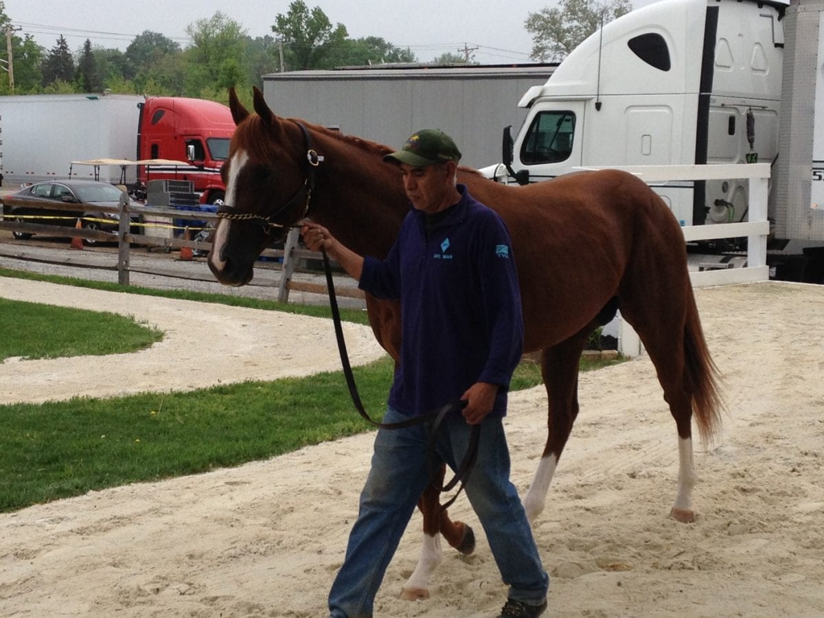 Preakness Profiles: Pablo Del Monte