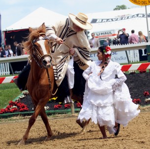 pasohorsevespe