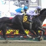 Hot City Girl aims for second graded win