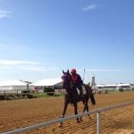 Claimbox: Midlantic claiming leaders for week ending July 22