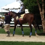 Delaware Park will reduce some overnight purses