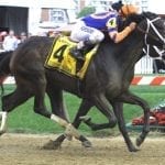 Beaumont rematch highlights Miss Preakness