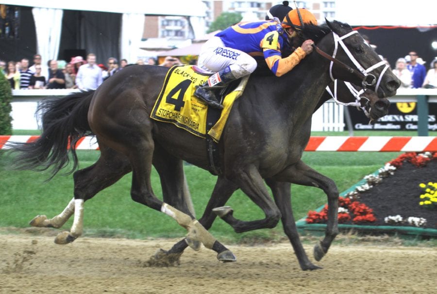 Stopchargingmaria will return to Pimlico, where she won last year's Black-Eyed Susan Stakes.