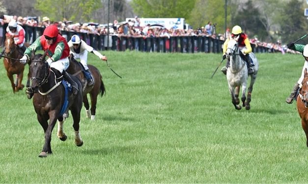 Parimutuel wagering boosts Virginia Gold Cup