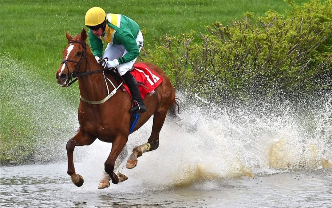 Virginia Equine Alliance renews point-to-point bonus