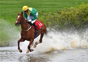 Saluda Sam splashes home to win the Steeplethon.  Photo by Douglas Lees.