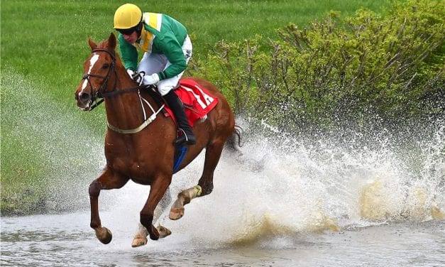 Spa Diary: No blame, but no ‘chase mounts either