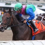 Pimlico spring meet shows small gains