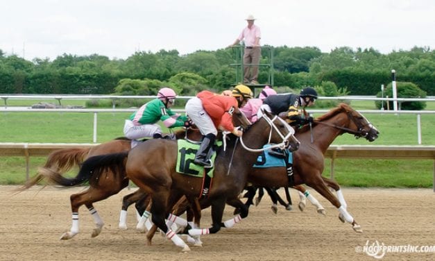 Delaware Park: Mo Shopping favored in Light Hearted Stakes