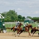 Fasig-Tipton yearling sale concludes with gross, average gains