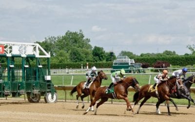 Delaware Park 2018 horses to watch: August 16