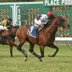 Handicappers’ Belmont Stakes selections