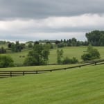 Top Midlantic-bred Polls: Showdown weekend