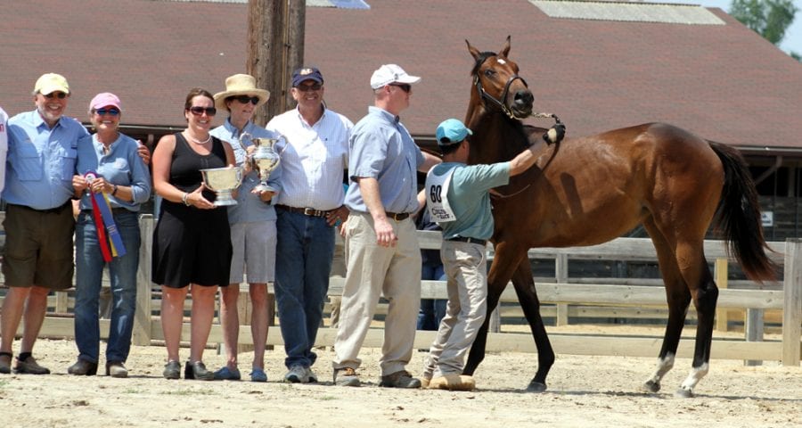 Donato Lanni to judge MHBA Yearling Show