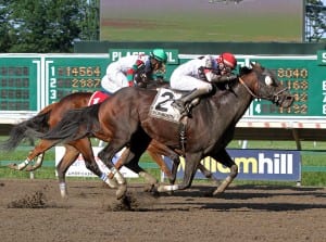 Cherokee Artist nips Ribo Bobo to win the Mr. Prospector Stakes at Monmouth Park. Photo By Ryan Denver/EQUI-PHOTO