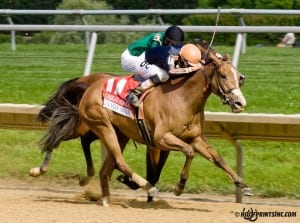 Gamay Noir, with Daniel Centeno up, takes the Grade 3 Obeah at Delaware Park. Photo by HoofprintsInc.com.