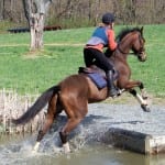 Popular gelding Immortal Eyes back in the entries