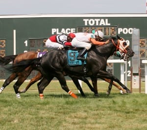 Ben's Cat gets up late to win the Parx Dash.  Photo By Barbara Weidl / EQUI-PHOTO