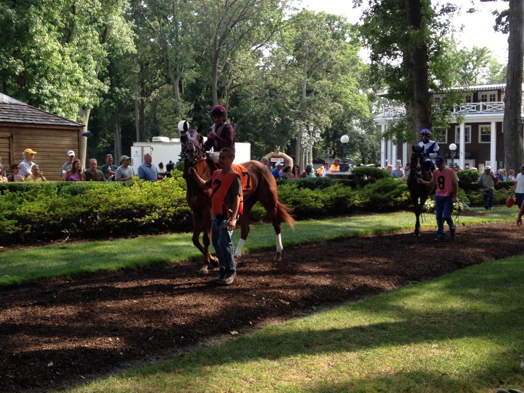 Delaware Park main track opens * The Racing Biz