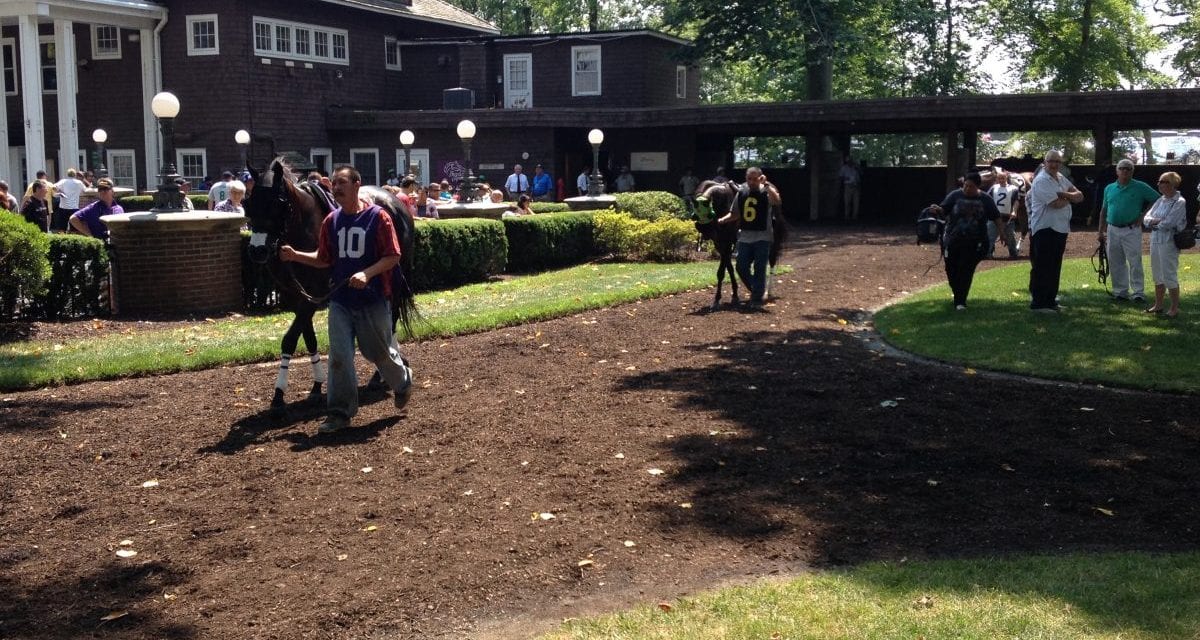 Delaware Park family day to benefit PDJF