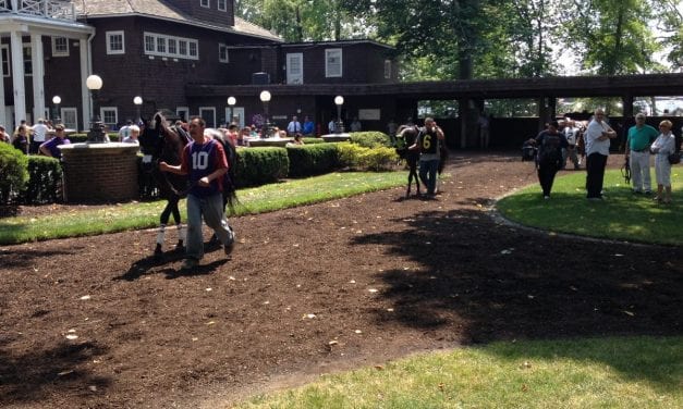 Delaware showcase to find retired racers new homes