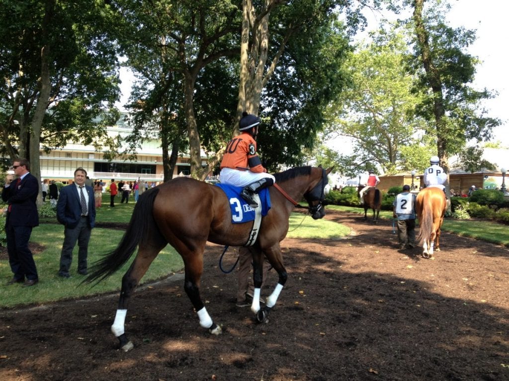 Delaware Park Paddock.