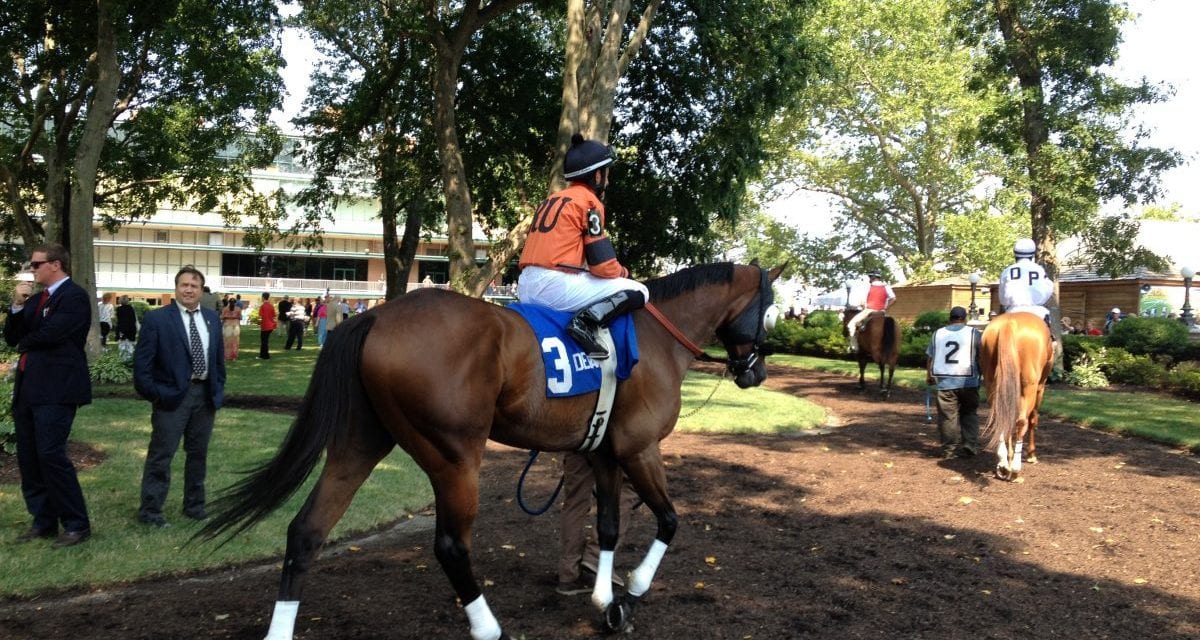 Horses return to Delaware Park