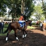 “Off to the Races” radio to feature on-site report from Fla. Derby day