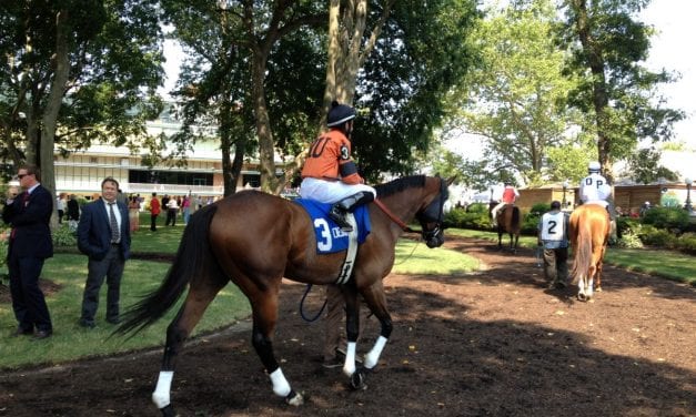 Delaware horsemen cautiously hopeful for racing circuit