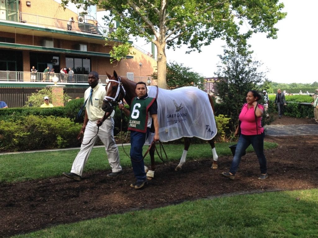 Princess of Sylmar before the Delaware Handicap.