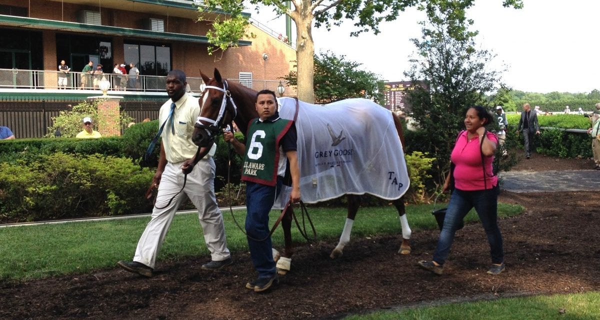 Pletcher overage that wasn’t has major implications for racing